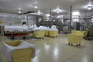 【25公斤洗脫烘一體機(jī)廣州力凈品牌廠家直銷全不銹鋼電子廠食品企業(yè)使用】-